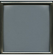 Fotolijst - Mat Zilver - Vierkant - 200.04