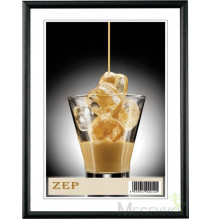 Zep Basic