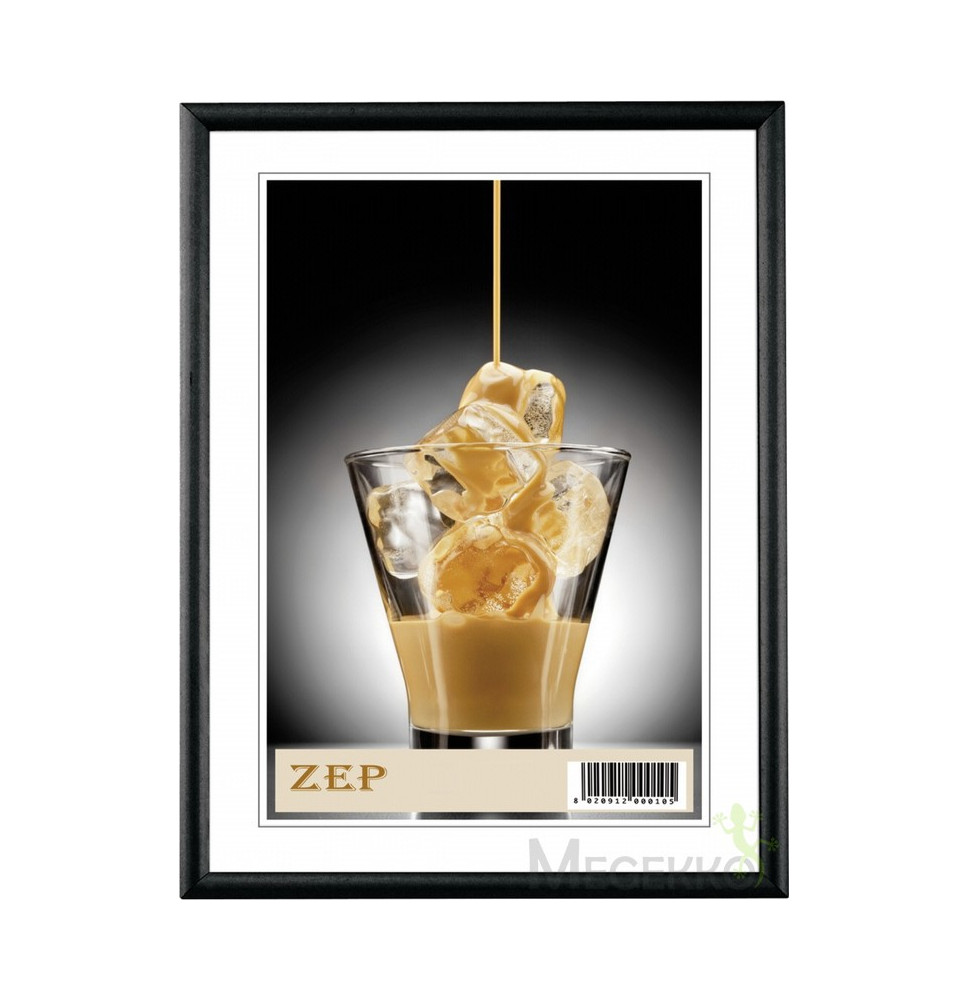 Zep Basic