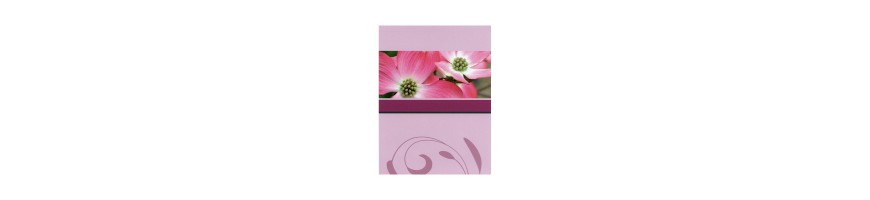 Insteekalbums